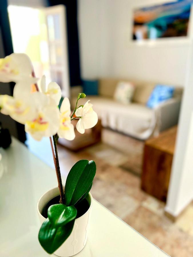 Cosy, New Studio In Costa Adeje Dış mekan fotoğraf